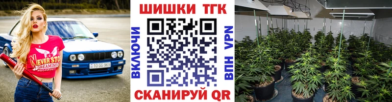 Где купить наркотики Волосово Марихуана  Alpha-PVP  Гашиш 