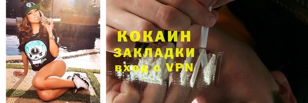 шишки Белоозёрский