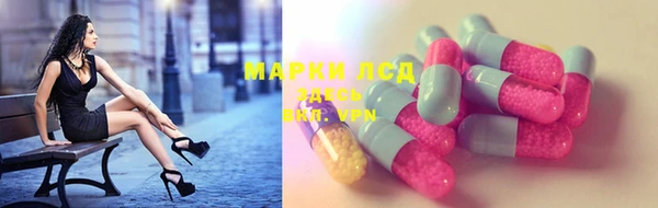 шишки Белоозёрский