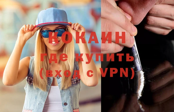 шишки Белоозёрский