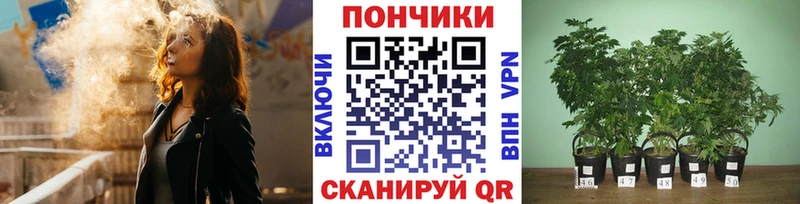 MEGA   Волосово  Каннабис OG Kush 